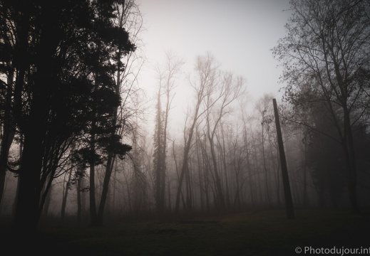 Parc de la Butte à Leers sous le brouillard