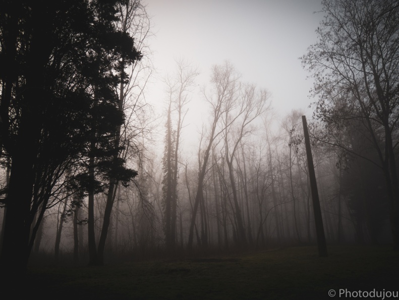 Parc de la Butte à Leers sous le brouillard