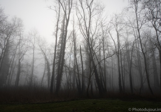 Parc de la Butte à Leers sous le brouillard