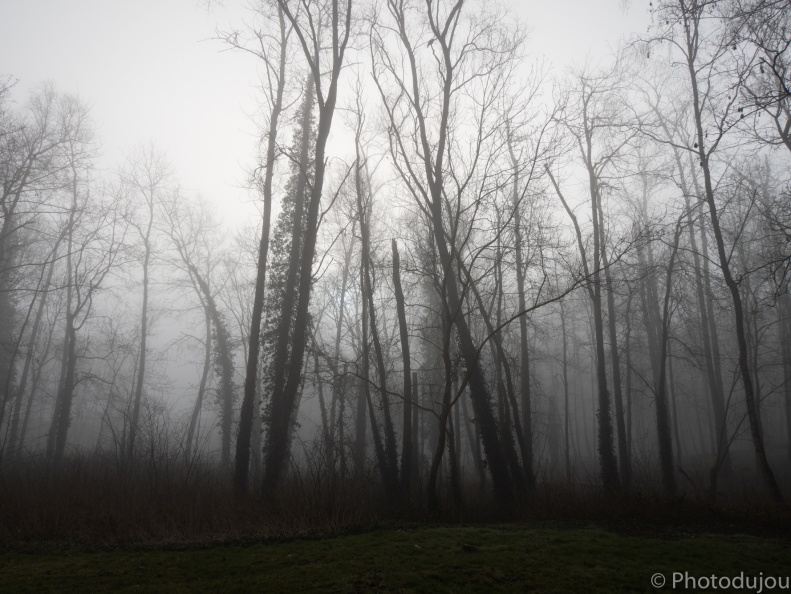 Parc de la Butte à Leers sous le brouillard