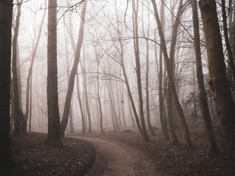 Parc de la Butte à Leers sous le brouillard