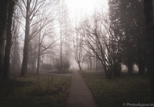 Parc de la Butte à Leers sous le brouillard