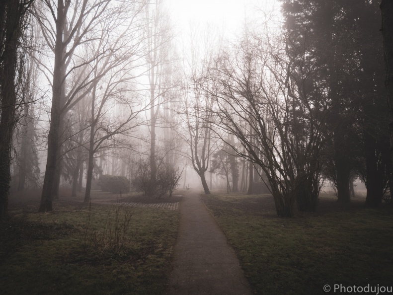 Parc de la Butte à Leers sous le brouillard