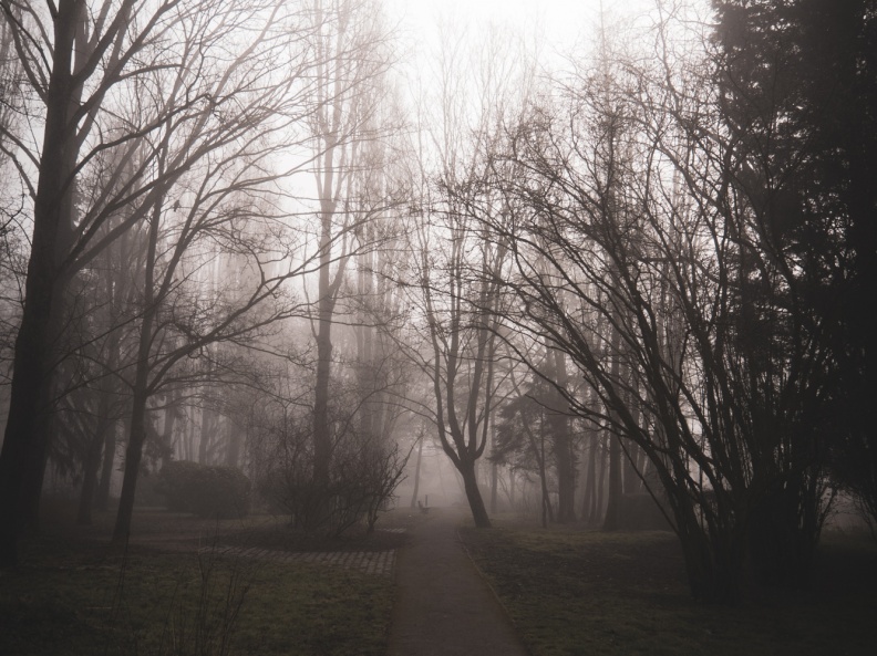 Parc de la Butte à Leers sous le brouillard